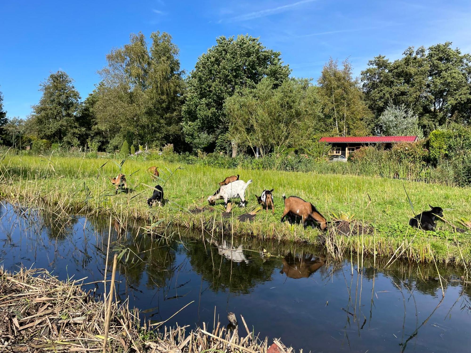 Huisje Op De Dijk Kortenhoef 외부 사진